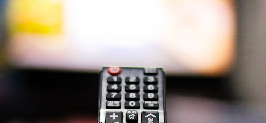 person holding black remote control